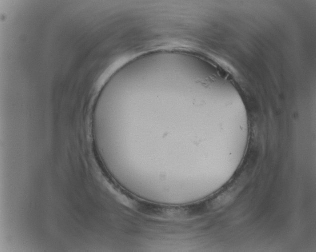 X0000062851375200601272030