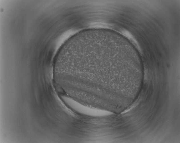 X0000062851376200601272030