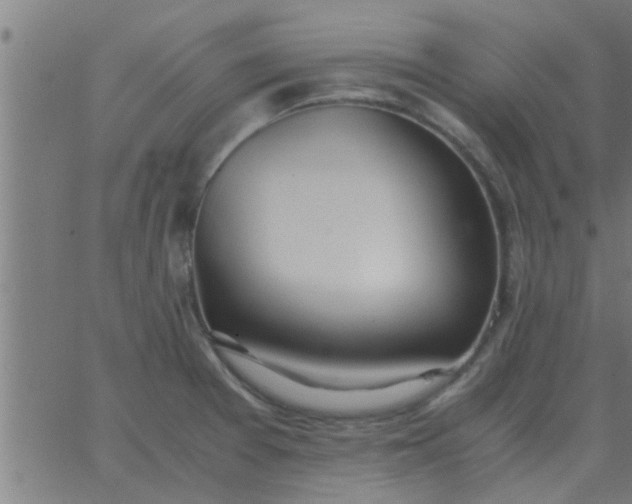 X0000062851377200601272030