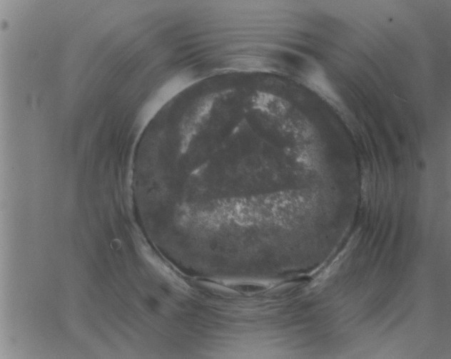 X0000062851378200601272030