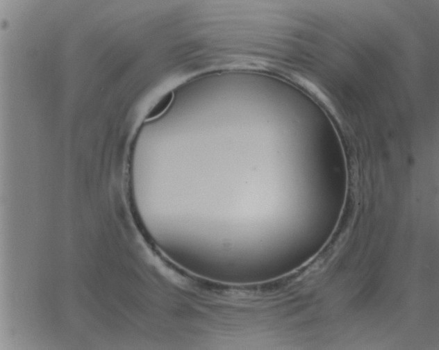 X0000062851379200601272030