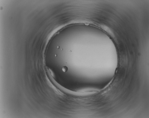 X0000062851380200601272030