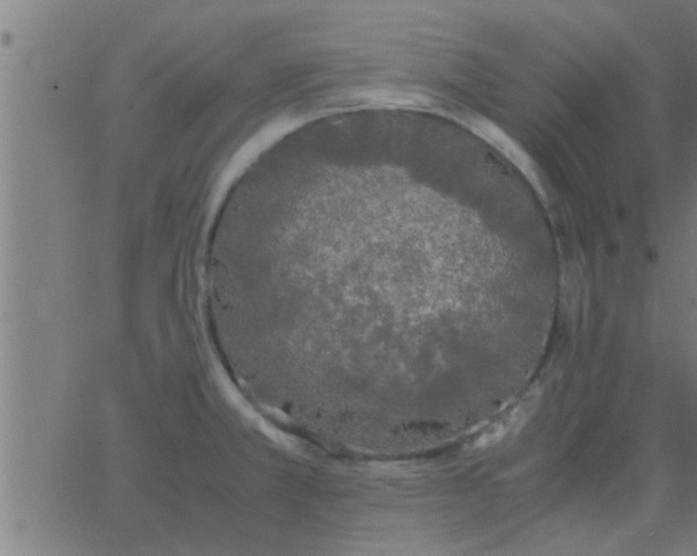 X0000062851381200601272030