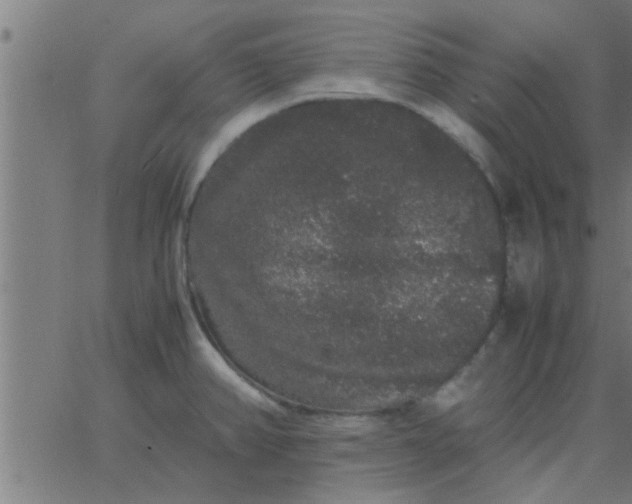 X0000062851382200601272030