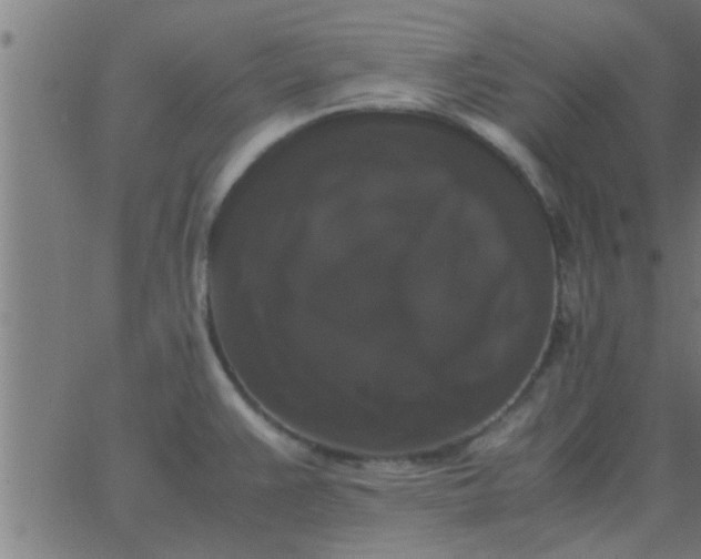 X0000062851383200601272030