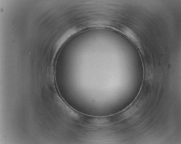 X0000062851384200601272030