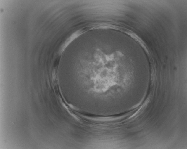 X0000062851385200601272030