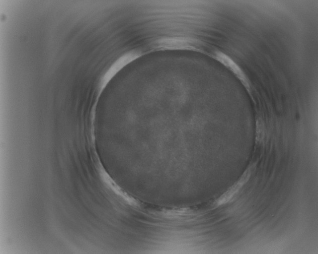 X0000062851386200601272030