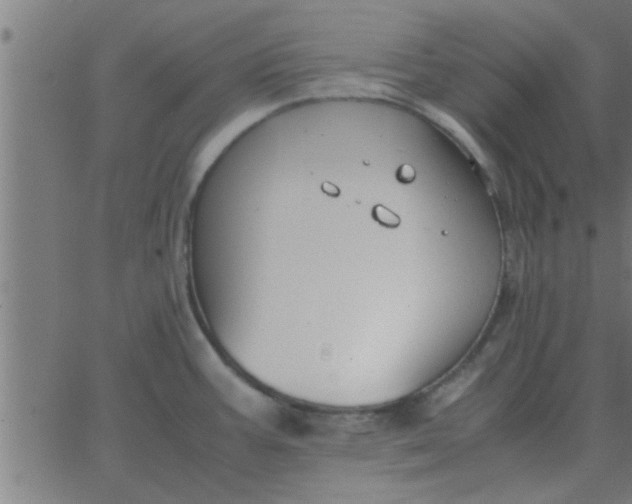 X0000062851387200601272030