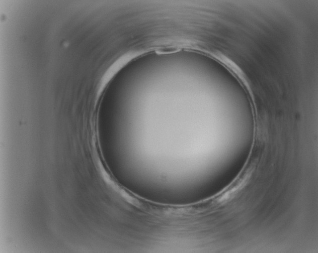 X0000062851389200601272030