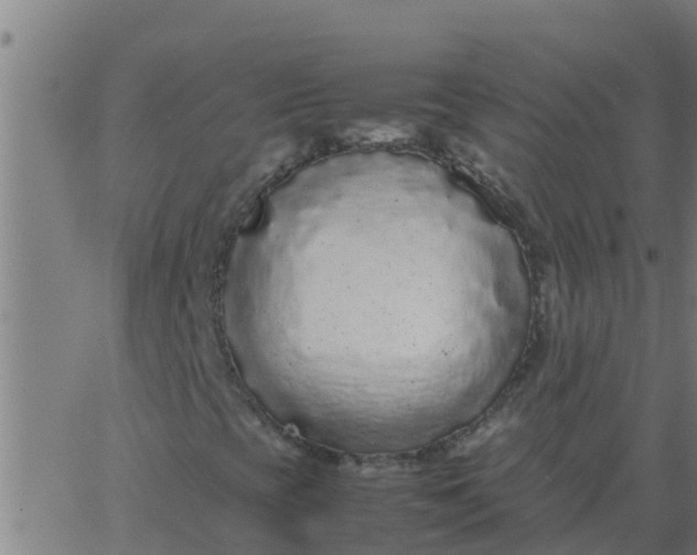 X0000062851393200601272029