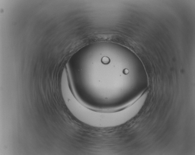 X0000062851394200601272029