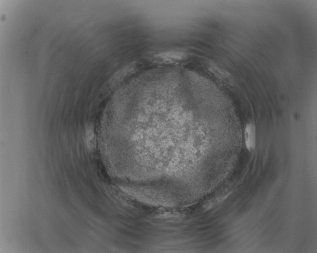 X0000062851395200601272029