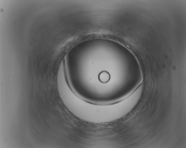 X0000062851398200601272029