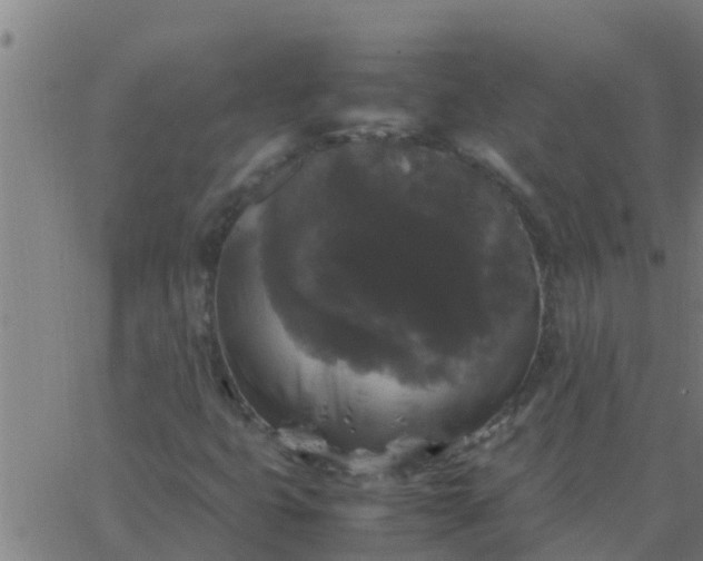 X0000062851399200601272029