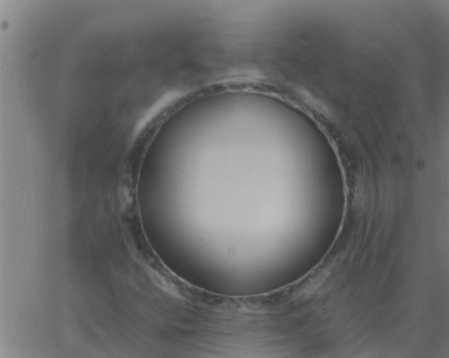 X0000062851400200601272029