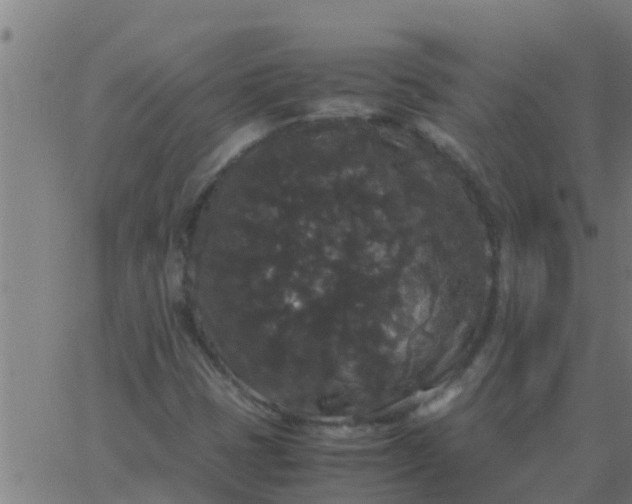 X0000062851401200601272030