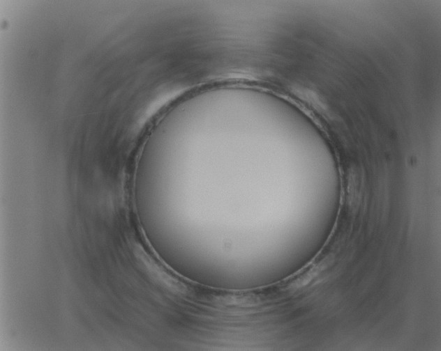 X0000062851404200601272030