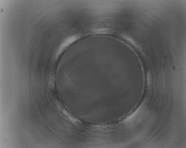 X0000062851405200601272030