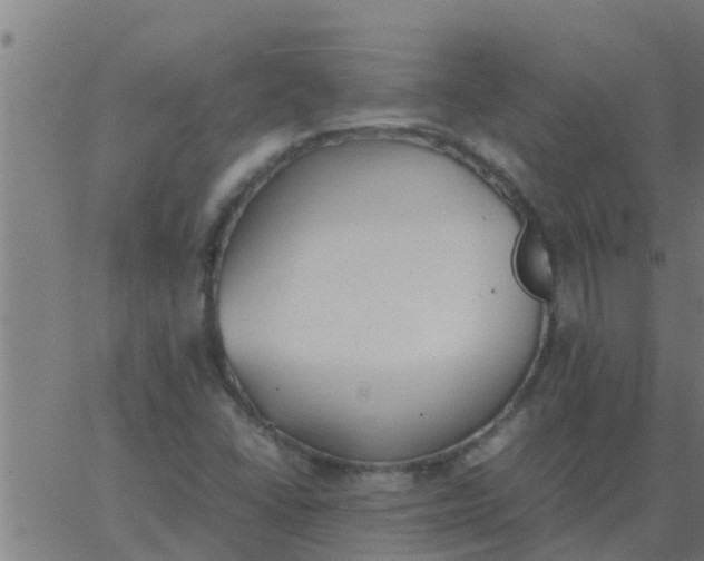 X0000062851406200601272030