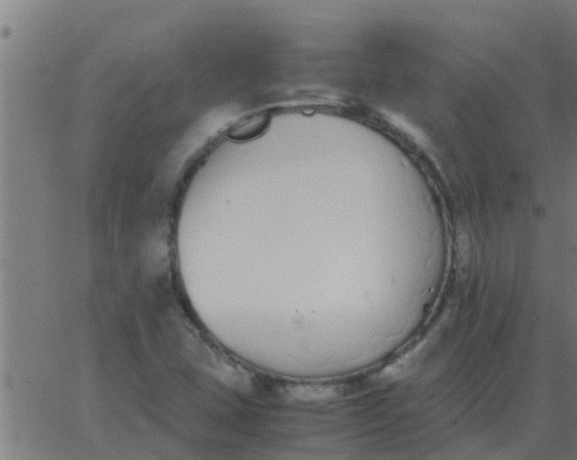 X0000062851407200601272030