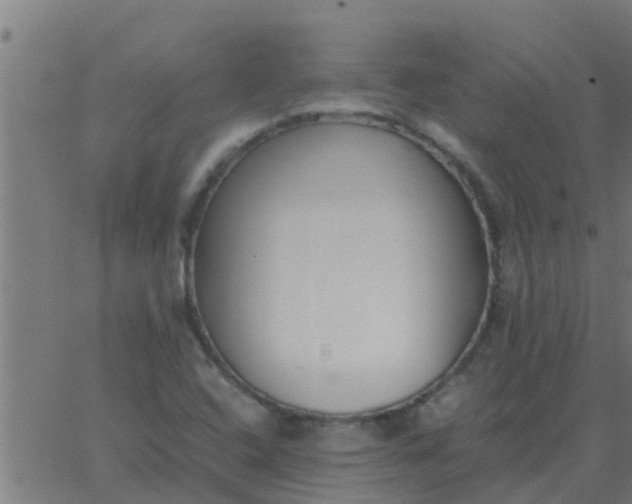 X0000062851408200601272030