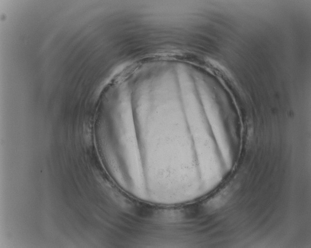 X0000062851409200601272030