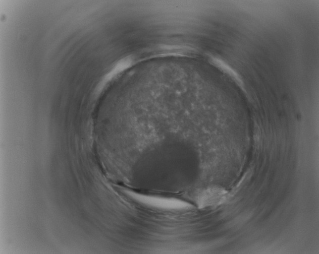 X0000062851411200601272030