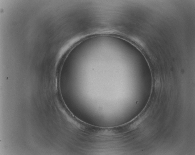 X0000062851414200601272030