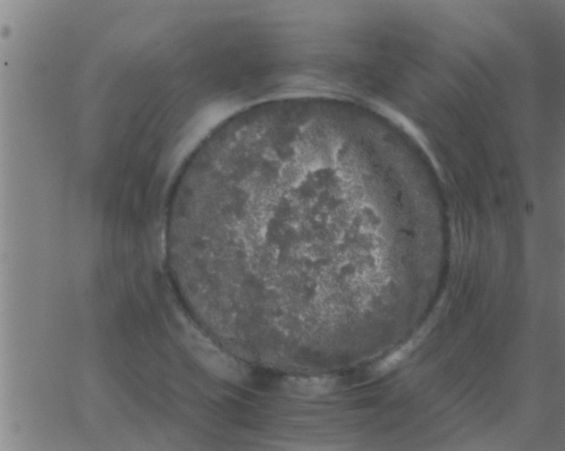 X0000062851415200601272030