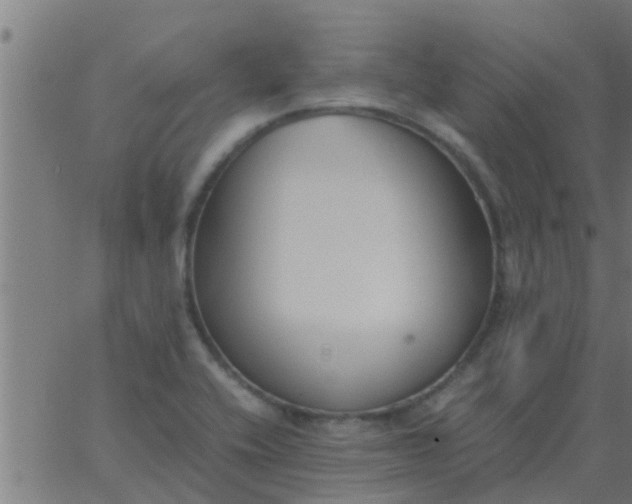 X0000062851416200601272030