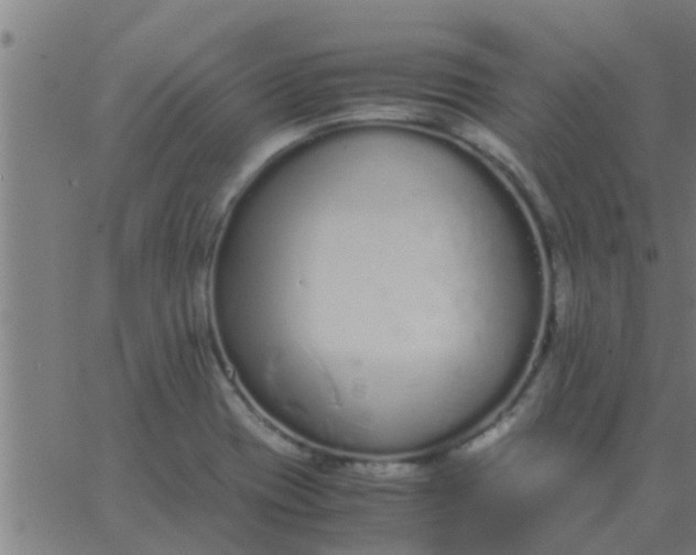 X0000062851417200601272030