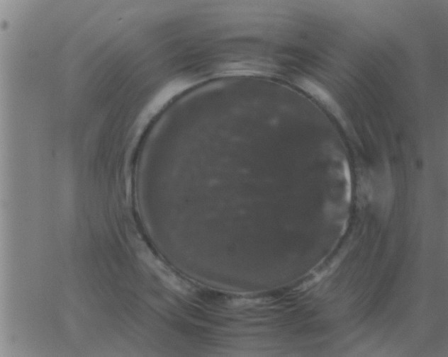 X0000062851419200601272030