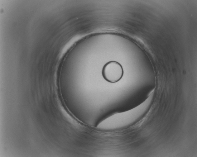 X0000062851422200601272030