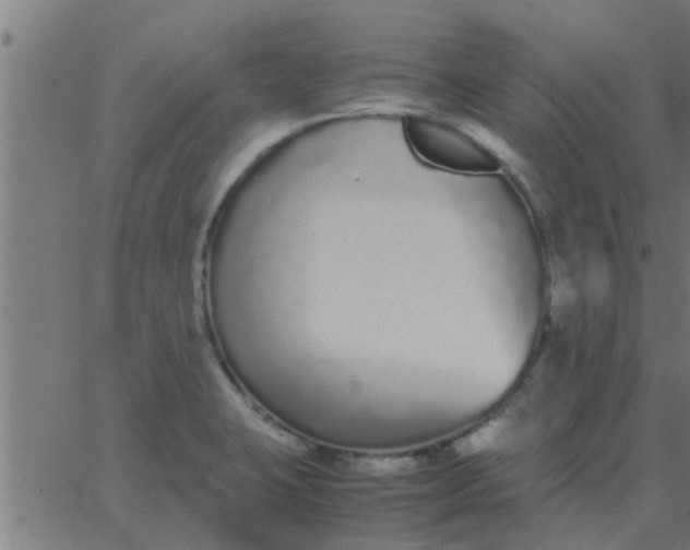 X0000062851423200601272030