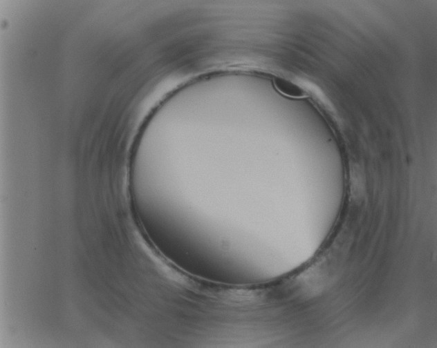 X0000062851424200601272030