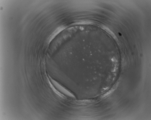 X0000062851425200601272030