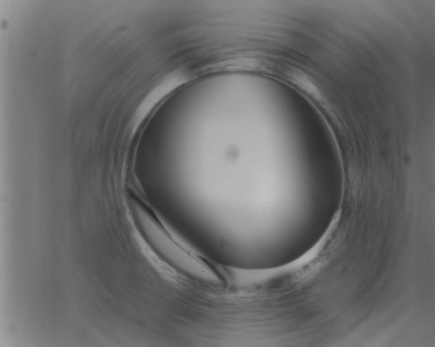 X0000062851426200601272030