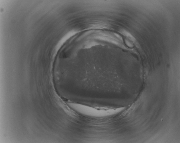 X0000062851427200601272030