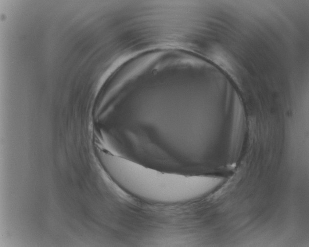 X0000062851428200601272030