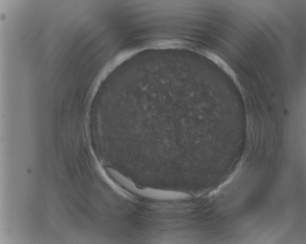 X0000062851429200601272030