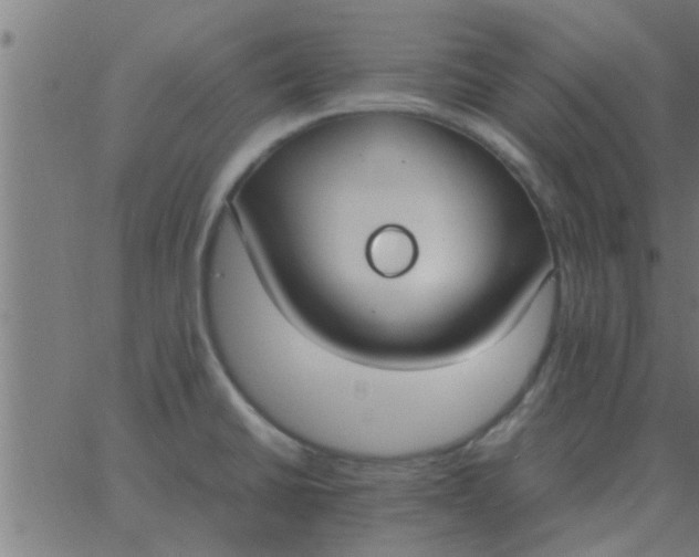 X0000062851430200601272030