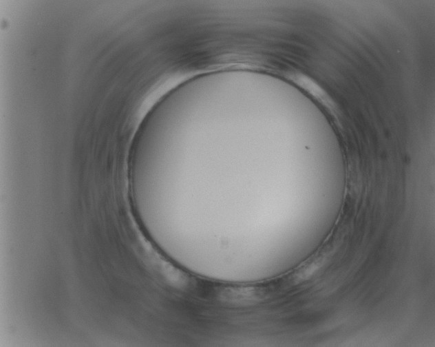 X0000062851431200601272030