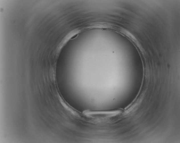 X0000062851433200601272030