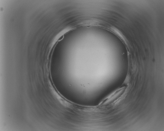 X0000062851434200601272030