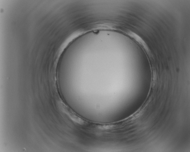 X0000062851435200601272030