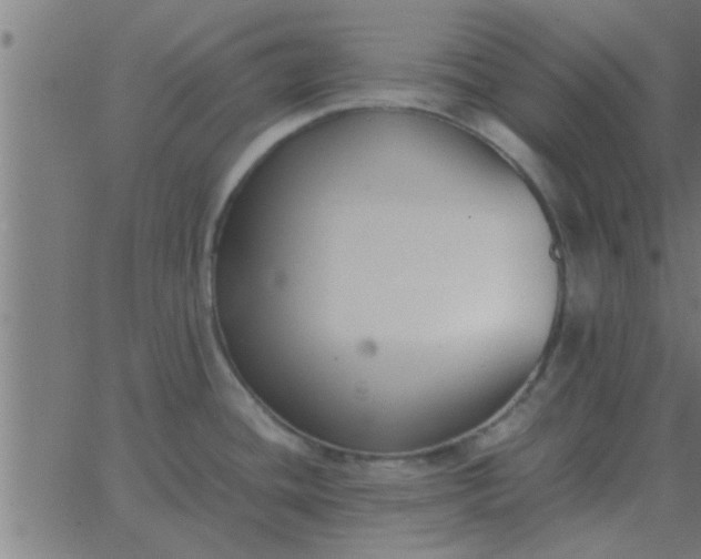 X0000062851436200601272030