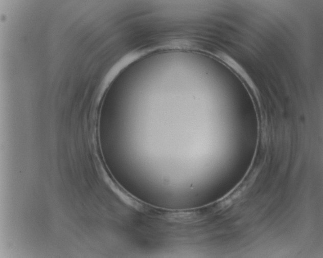 X0000062851437200601272030