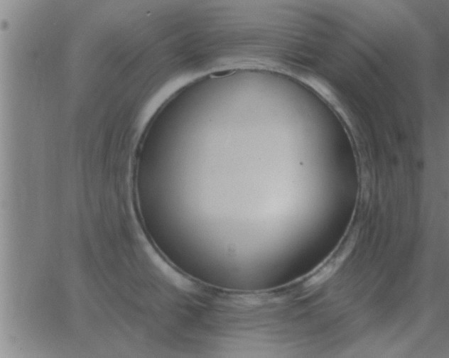 X0000062851438200601272030