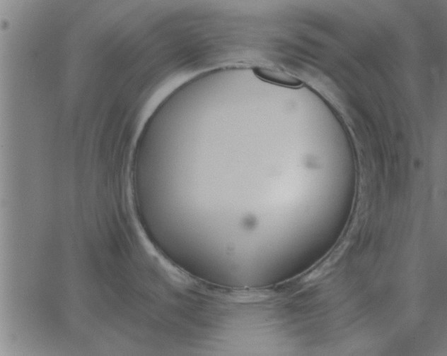 X0000062851440200601272030